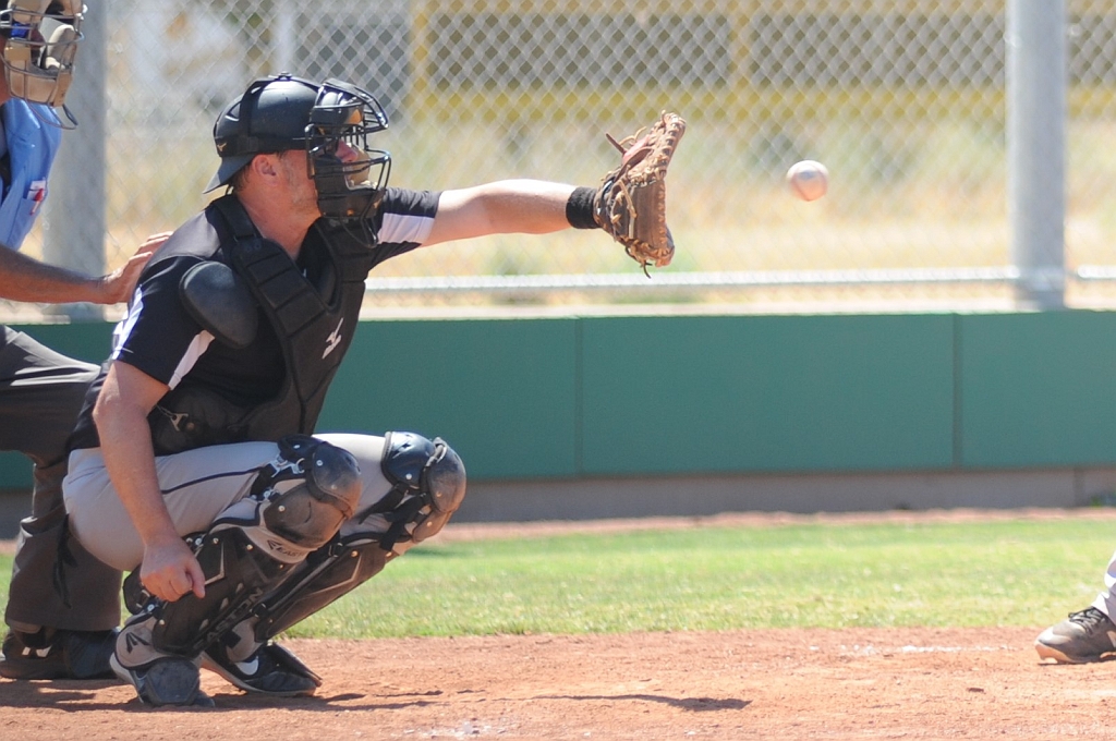 Seals_2019-08-25 (276).JPG - (c)2010 DeVetter